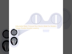 정형 물 압력 현대 디자인의 전기 비 비 빗 두 개의 노즐 화장실