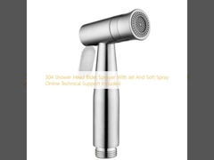 304 샤워 헤드 비데트 스프레이어 제트 및 소프트 스프레이 온라인 기술 지원 포함